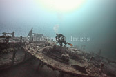 Diver inspects plates on wreck
