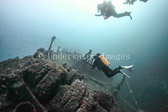 Divers on the wreck