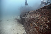 divers along hull of I169